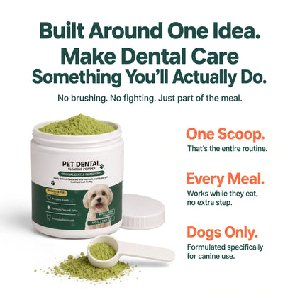 Daily Dental Care Without the Brushing Struggle
