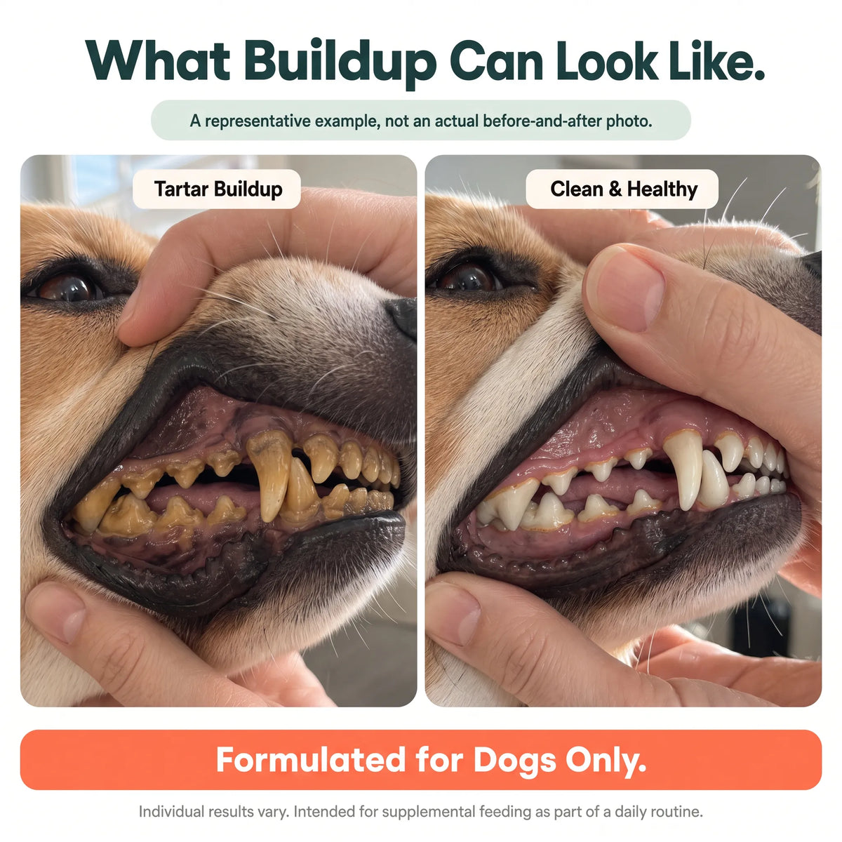 Daily Dental Care Without the Brushing Struggle