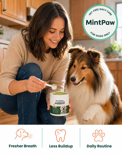 MintPaw Dog Dental Powder That Skips the Brushing — and the Vet Bill