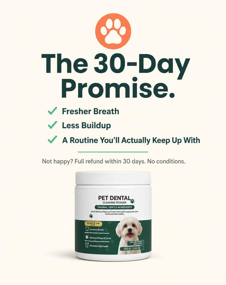 MintPaw Dog Dental Powder That Skips the Brushing — and the Vet Bill