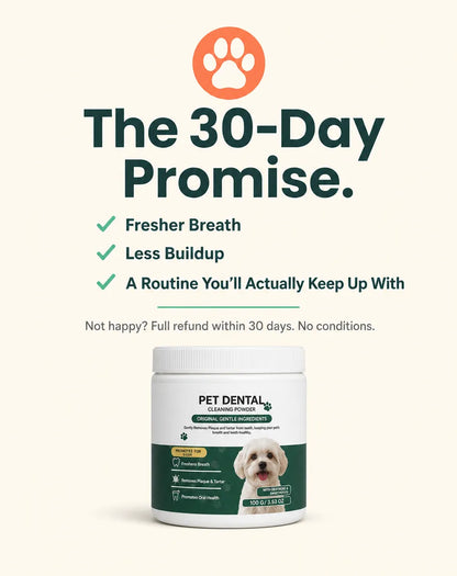 MintPaw Dog Dental Powder That Skips the Brushing — and the Vet Bill