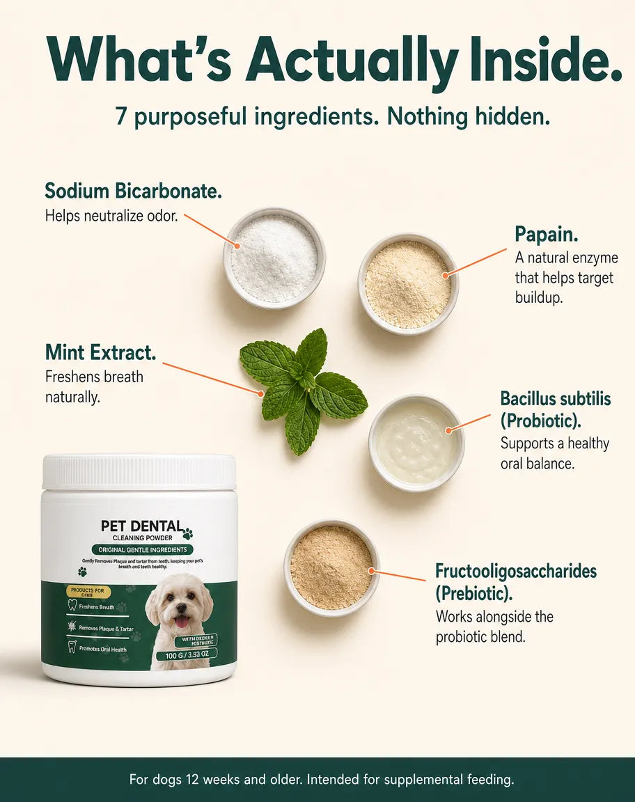 MintPaw Dog Dental Powder That Skips the Brushing — and the Vet Bill