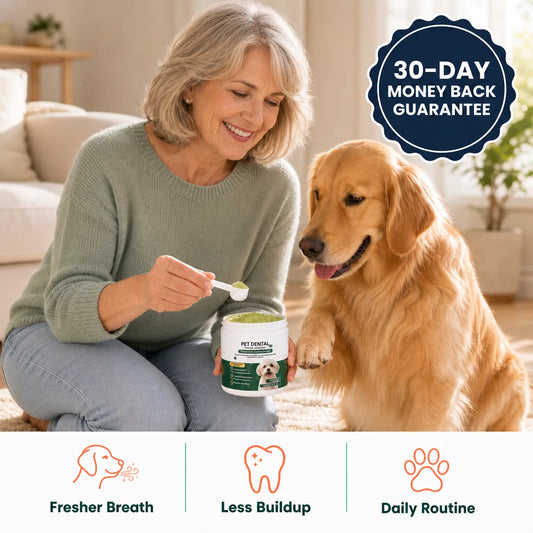 Daily Dental Care Without the Brushing Struggle